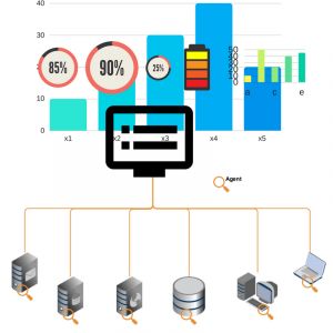 Agent based IT Monitoring