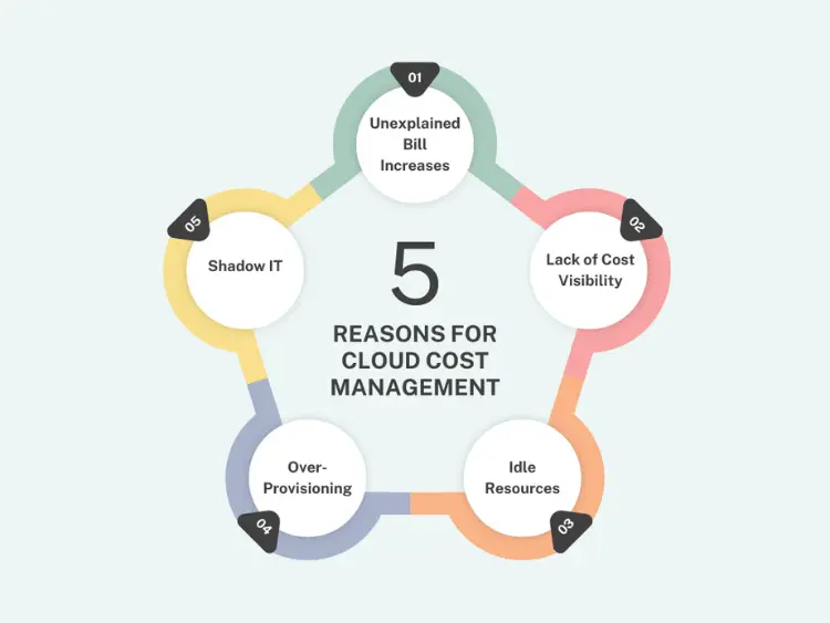 5 reasons to use cloud cost management tools