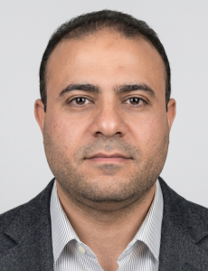 Running ERP In-House: Lessons From a Six-Country ERP System Rollout
